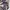 Skirt batsu club photo 5