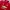 Adidas Y2K Sportswear Jersey Pria Red