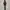 Garmin Forerunner 255 Slate Grey photo 3