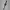 Garmin Forerunner 255 Slate Grey photo 1