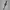Garmin Forerunner 255 Slate Grey