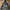 Element Alder Light 2 Tones Jacket Camo Navy