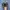 Nike Air Max Plus TN photo 4