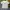 Vintage us air force military training t shirt  photo 6