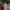 Knit Midi Dress Pink Putih - Bodycon Stretch Fit to M photo 2