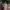 Knit Midi Dress Pink Putih - Bodycon Stretch Fit To M