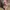 Knit Midi Dress Pink Putih - Bodycon Stretch Fit to M photo 2