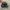 Adidas Streetwear Sneakers Pria green red black gray photo 6
