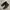 Nike Streetwear Sportswear Sneakers Pria black gray photo 1