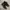 Nike Streetwear Sportswear Sneakers Pria black gray photo 2