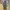 Nagi / Gypsy Wide Pants Nagi by Yanagi Japanese Style photo 4