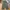 Nagi / Gypsy Wide Pants Nagi by Yanagi Japanese Style photo 1