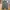 Nagi / Gypsy Wide Pants Nagi by Yanagi Japanese Style photo 2
