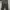 cottonsupply Trackpants Basic Cargo Loose Fit Dark Grey photo 1