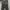 Cottonsupply Trackpants Basic Cargo Loose Fit Dark Grey