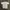 American Eagle Streetwear Grunge T-shirt Pria white photo 8