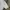 American Eagle Streetwear Grunge T-shirt Pria white photo 7