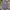Celana Jogger Air Jordan Grey photo 1