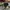 Celana Jogger Air Jordan Grey photo 2