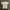Vintage Streetwear T-shirt Pria white photo 8