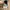 NEW BALANCE 550 AIME LEON DORE photo 3