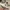 NEW BALANCE 550 AIME LEON DORE photo 2