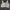 Wacoal bra photo 1