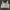 Wacoal Bra