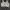 Wacoal bra photo 4