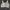 Wacoal bra photo 2