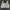 Wacoal Bra