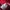Vintage Casual Bomber jacket Pria red photo 6