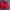 Vintage Casual Bomber Jacket Pria Red