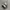 New Balance 57/40 Raincloud photo 2