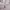 Long jacket winter puffer tebal goose down anak descente photo 4