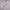 Long jacket winter puffer tebal goose down anak descente photo 8