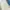 Knit crop lengan panjang photo 4