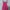 Dress ungu wanita photo 1