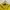 Fred Perry Sportswear Casual Polo shirt Pria yellow photo 3