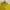 Fred Perry Sportswear Casual Polo shirt Pria yellow photo 5
