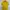 Fred Perry Sportswear Casual Polo Shirt Pria Yellow