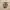 Birkenstock Casual Sportswear Sandals & slide Pria tan photo 3
