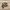 Birkenstock Casual Sportswear Sandals & slide Pria tan photo 1