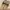 Birkenstock Casual Sportswear Sandals & slide Pria tan photo 7