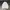 Halfzip Topten Men - Light Grey