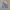 Levis Chambray Linen
Size tag 30 photo 1