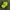 Topi wilson tenis photo 1