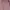Blouse Blush Tapestry Highneck Lace photo 3