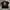 Tshirt Tiger Embroidery Black Pria Second  photo 1