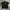 Tshirt Tiger Embroidery Black Pria Second  photo 2